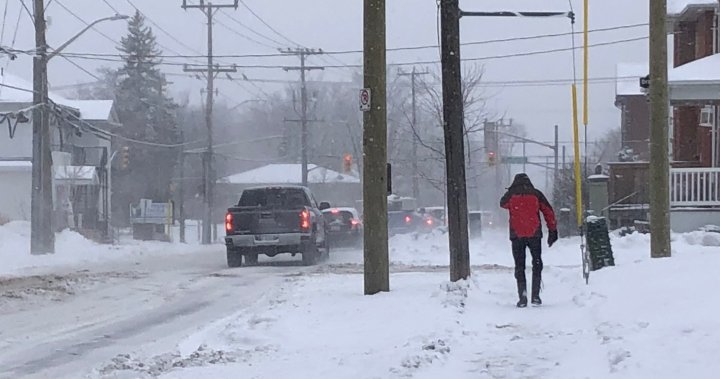 Intense snowfall to hamper parts of Ontario as lake effect storm begins [Video]