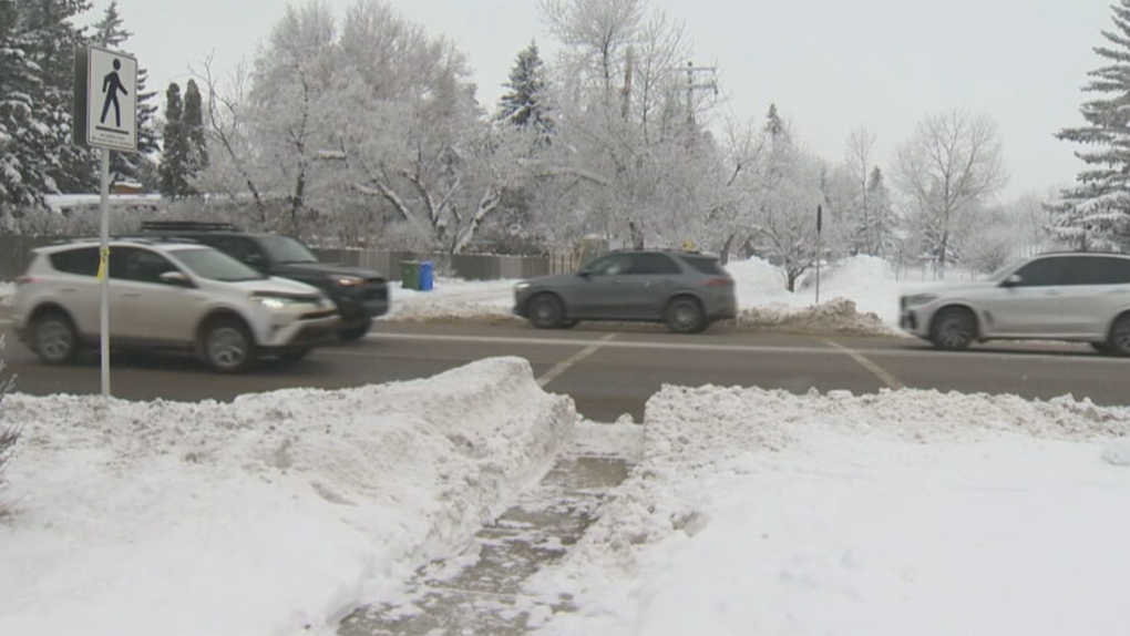 Calgary pedestrian killed crossing Elbow Drive S.W. [Video]