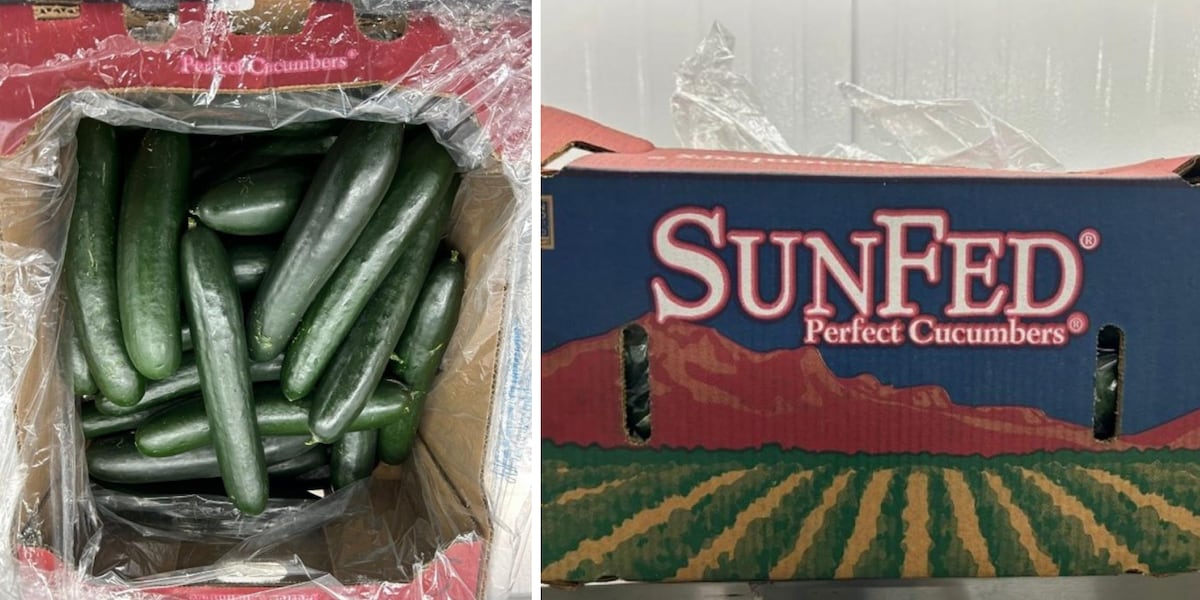 Arizona-based produce company recalls cucumbers for possible Salmonella contamination [Video]