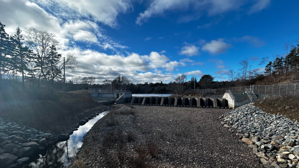 Halifax Water says it should have told customers about fluoridation interruptions [Video]