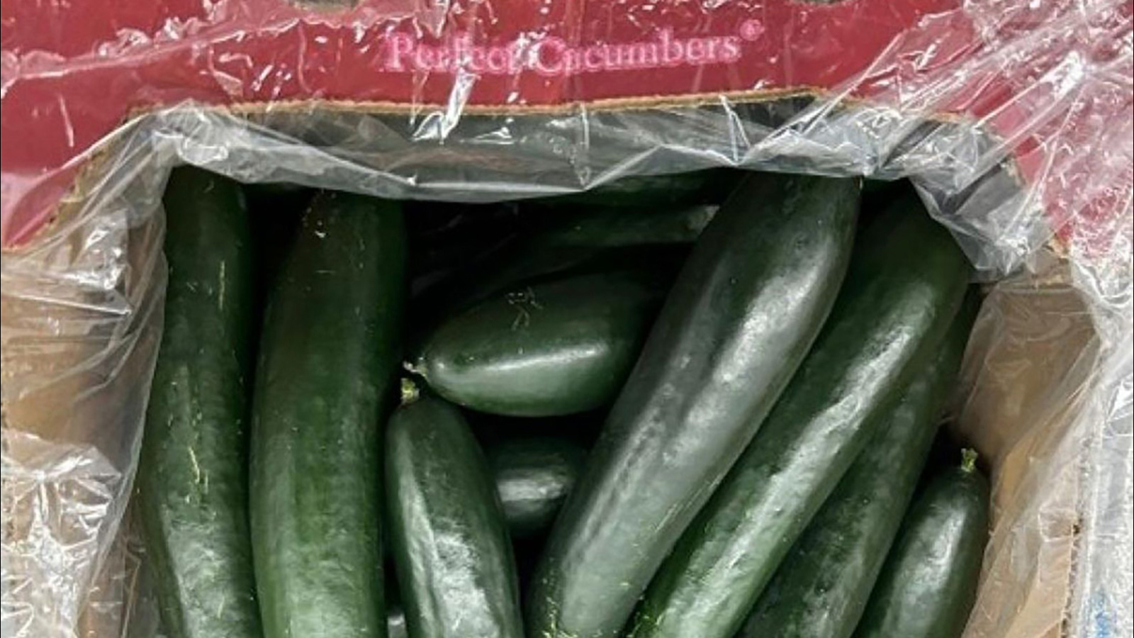 SunFed cucumber recall 2024: Cucumbers recalled in 26 states after illnesses from salmonella contamination [Video]