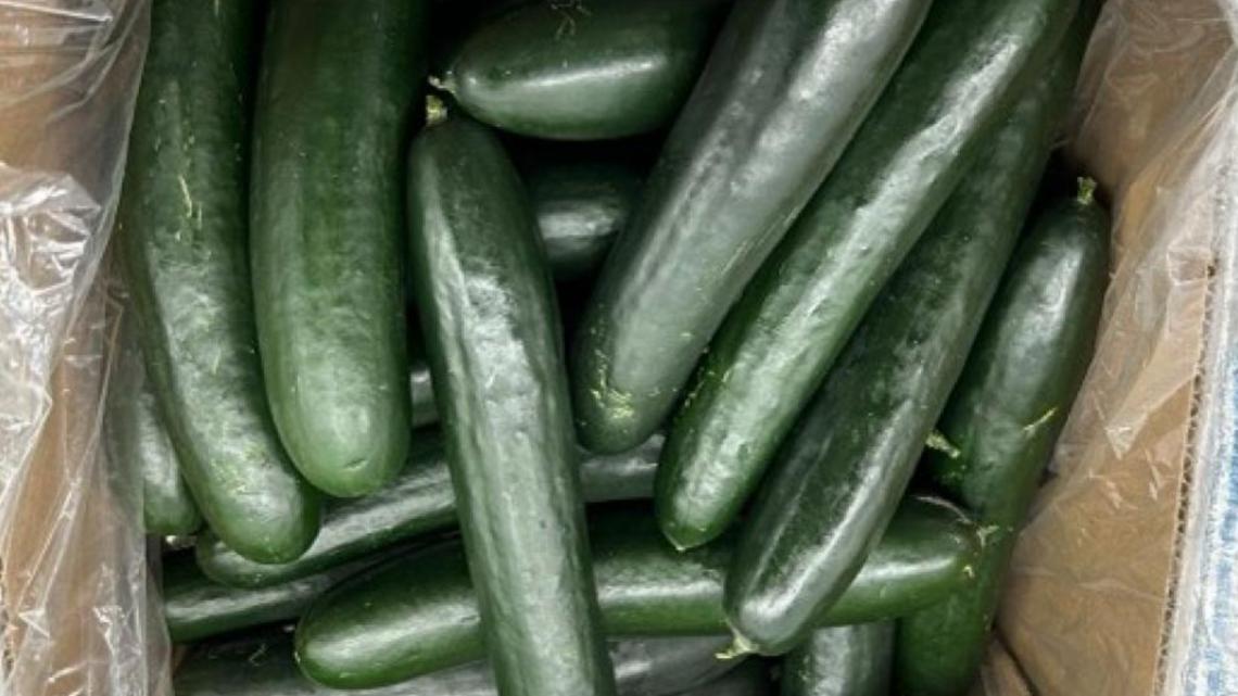 Cucumbers, eggs recalled for possible salmonella [Video]