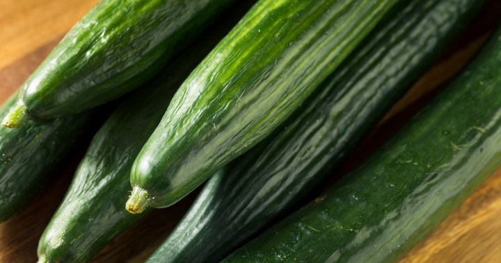 Cucumbers sent to several provinces recalled over salmonella concerns [Video]