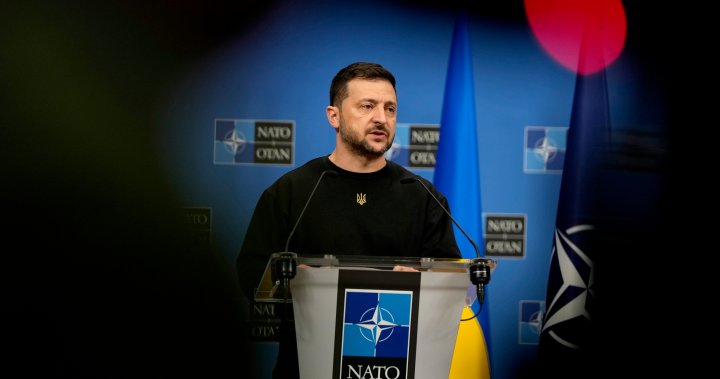 NATO offer for Ukraine-controlled land could end wars hot stage: Zelenskyy – National [Video]