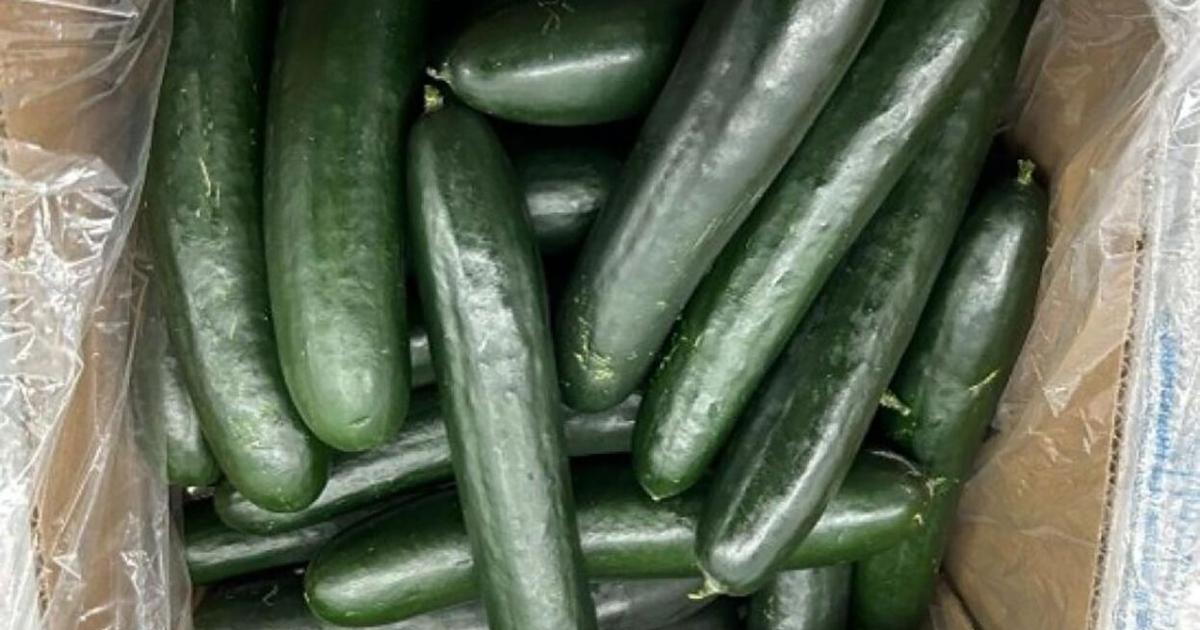 Recalled cucumbers linked to multistate salmonella outbreak, health agencies warn | Health [Video]