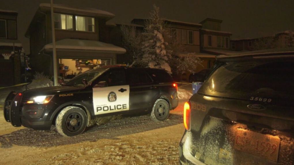 Stabbing in southeast Calgary leaves 1 seriously injured [Video]