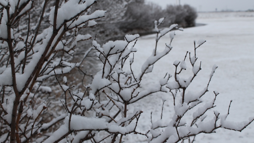 Heavy snow, freezing rain hit northern B.C. [Video]