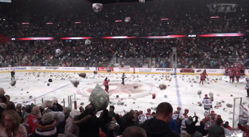 Fur flies at Hitmen Teddy Bear Toss [Video]