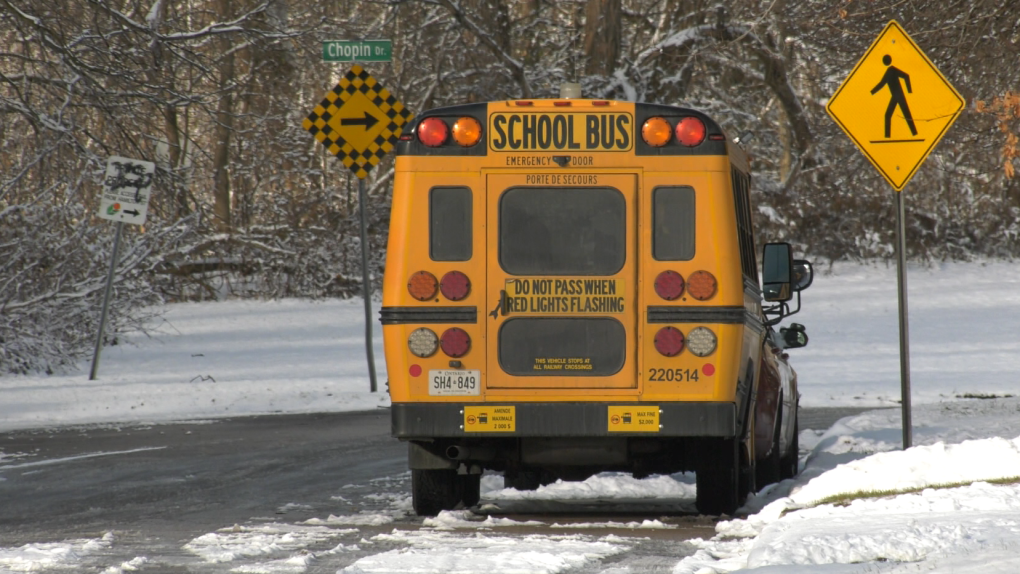 All Waterloo School Board school buses, taxis and special education routes cancelled [Video]