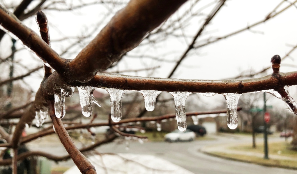 Edmonton weather for Dec. 2: Freezing rain on the way [Video]