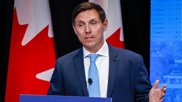 Former Conservative leadership candidate Patrick Brown to appear at committee probing foreign interference [Video]