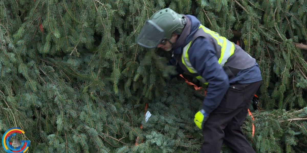 The 2024 U.S. Capitol Christmas Tree is set to be lit Tuesday night [Video]