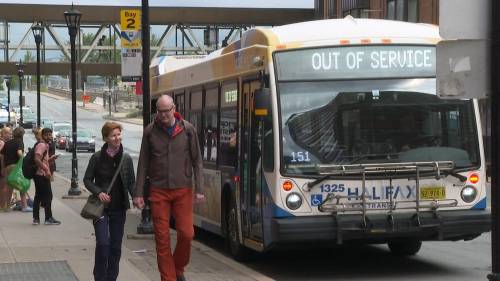 Halifax Transit union worried about drivers whose work permits are set to expire [Video]