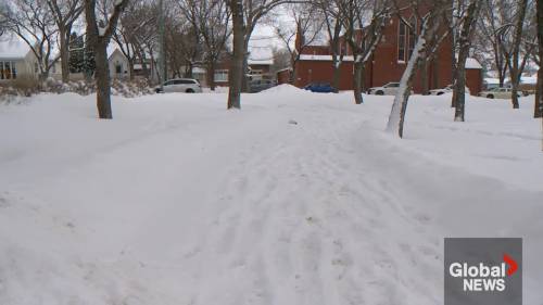 Offering a helpful shovel could go a long way this Saskatchewan winter [Video]