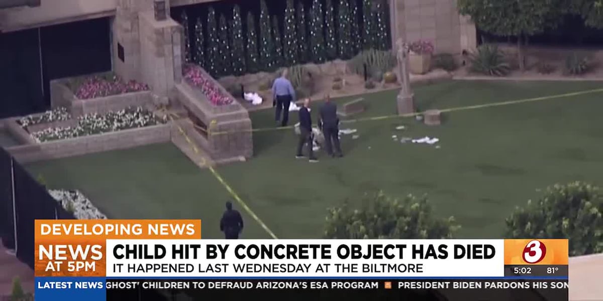 Boy dies after being hit by statue at resort in Phoenix [Video]