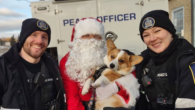 Pet food drive underway throughout Edmonton [Video]