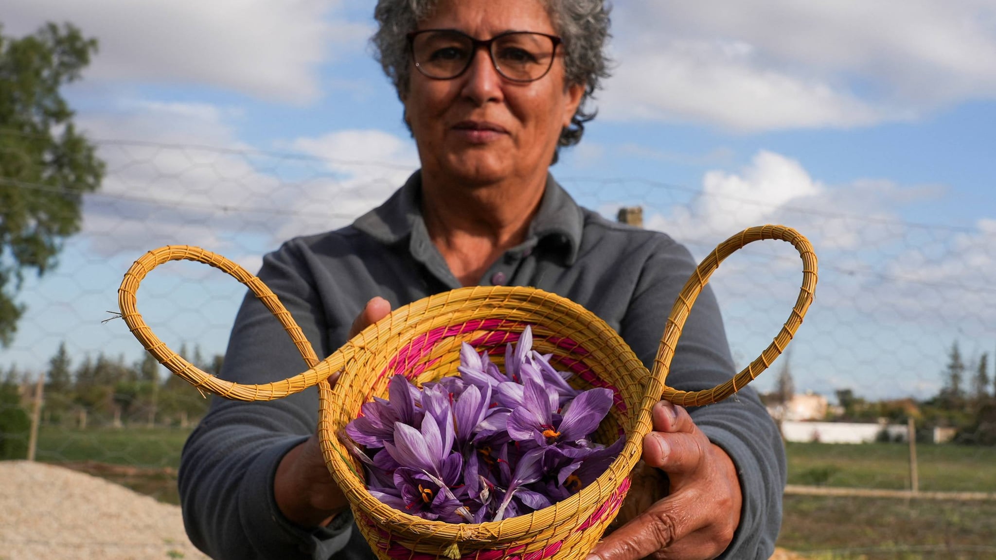 Video: Farmers bring saffron to Tunisia amid a changing climate [Video]