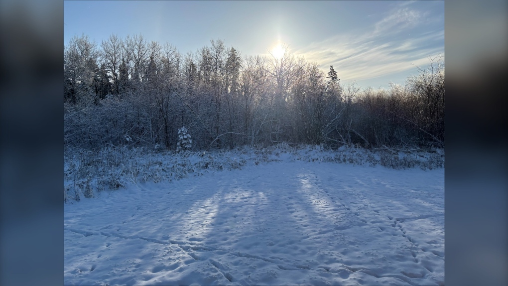 Snowfall warnings issued in Manitoba [Video]