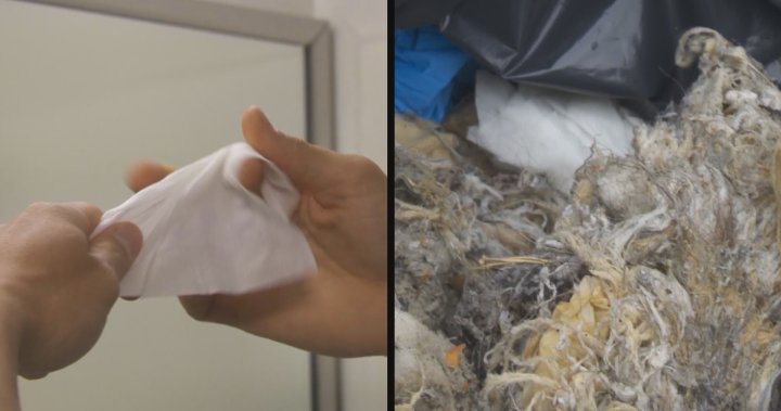 Metro Vancouver wants feds to define that flushable wipes arent really flushable – BC [Video]