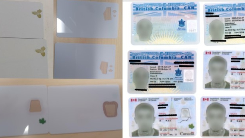 Quebec man who tried to smuggle fake permanent residence cards, licences gets prison time [Video]