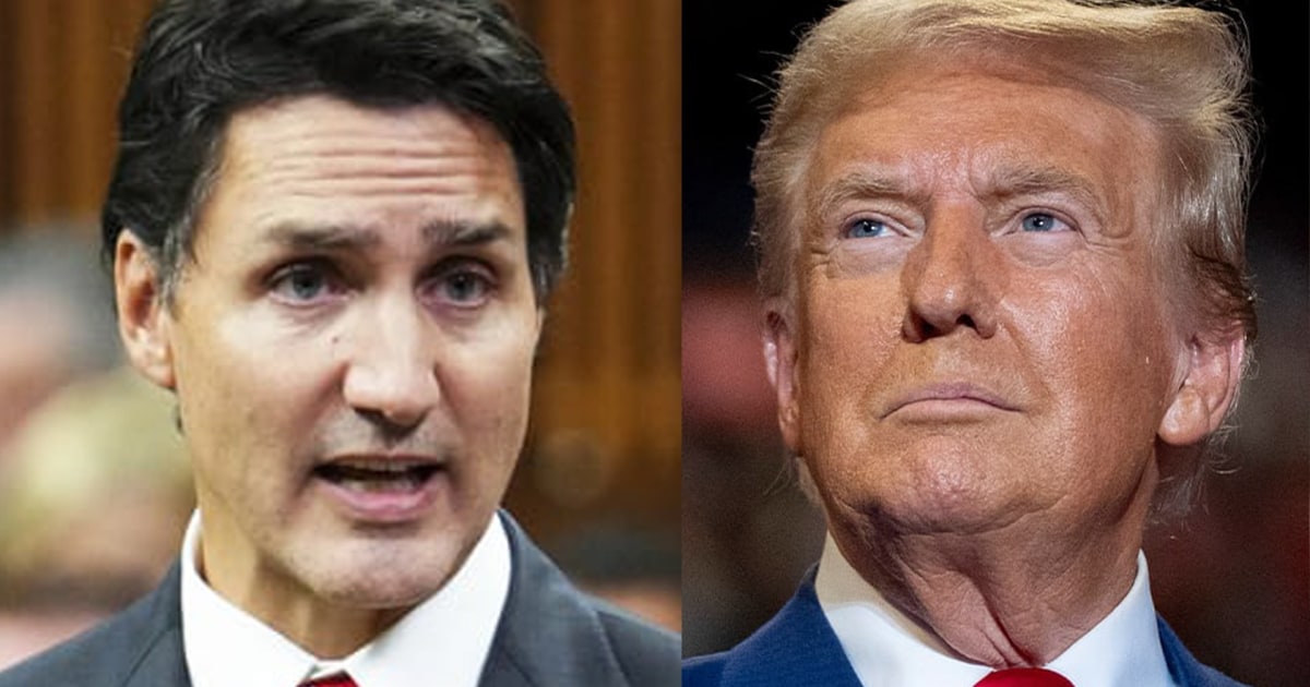 Trump suggests Canada become 51st state during tariff discussion with Trudeau: Source [Video]