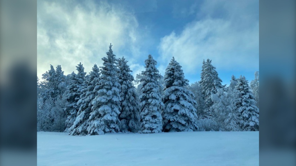 Manitoba weather: blowing snow, snow squalls expected [Video]