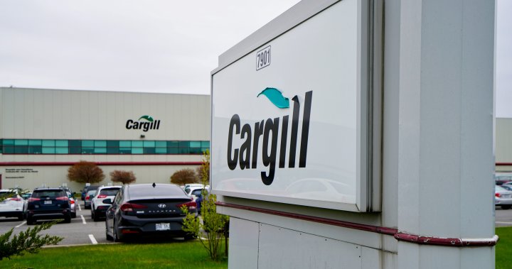 Cargill layoffs not expected to impact Canadian union jobs: UFCW [Video]