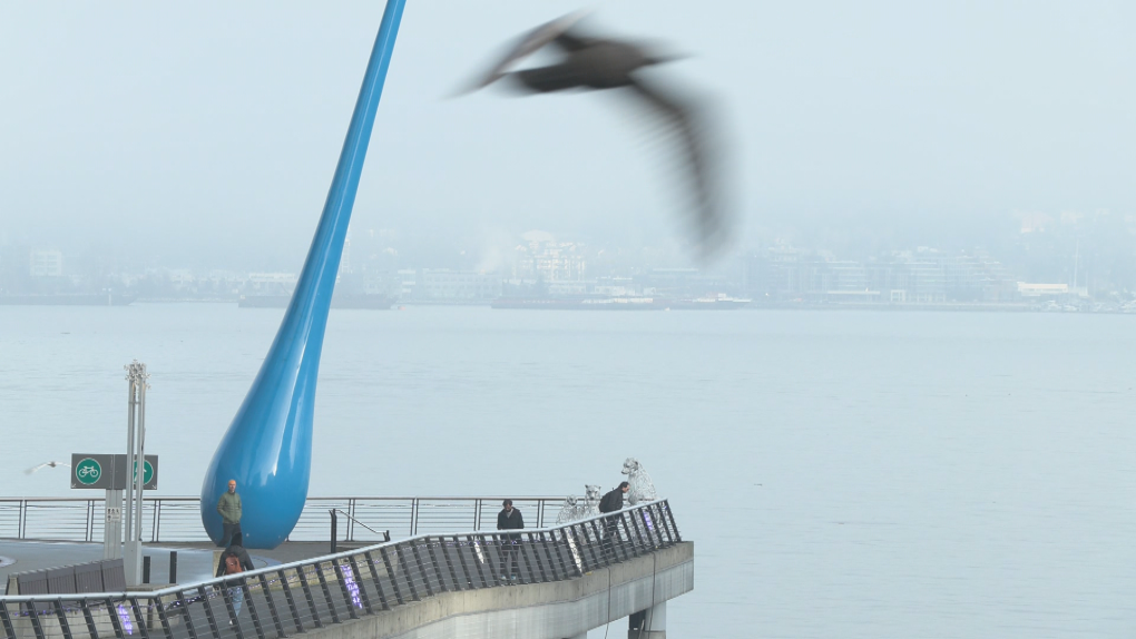 B.C. weather: Fog advisory issued due to hazardous conditions [Video]