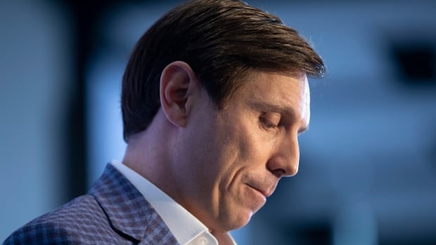 Former Conservative leadership candidate Patrick Brown to testify on Indian interference allegations [Video]