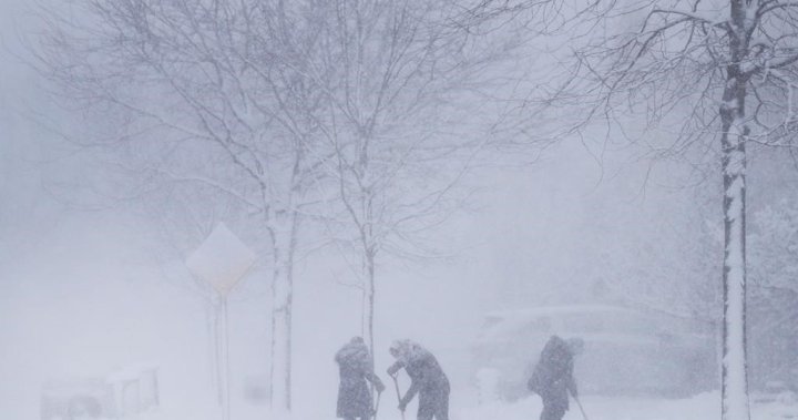 Parts of Ontario hit by weekend storm may get another 14 cm of snow: weather advisory [Video]