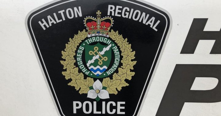 4 men facing charges after 25 vehicles broken into in Ontario town [Video]