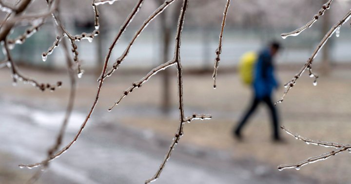 Edmonton among areas in central, northern Alberta under freezing rain warning – Edmonton [Video]