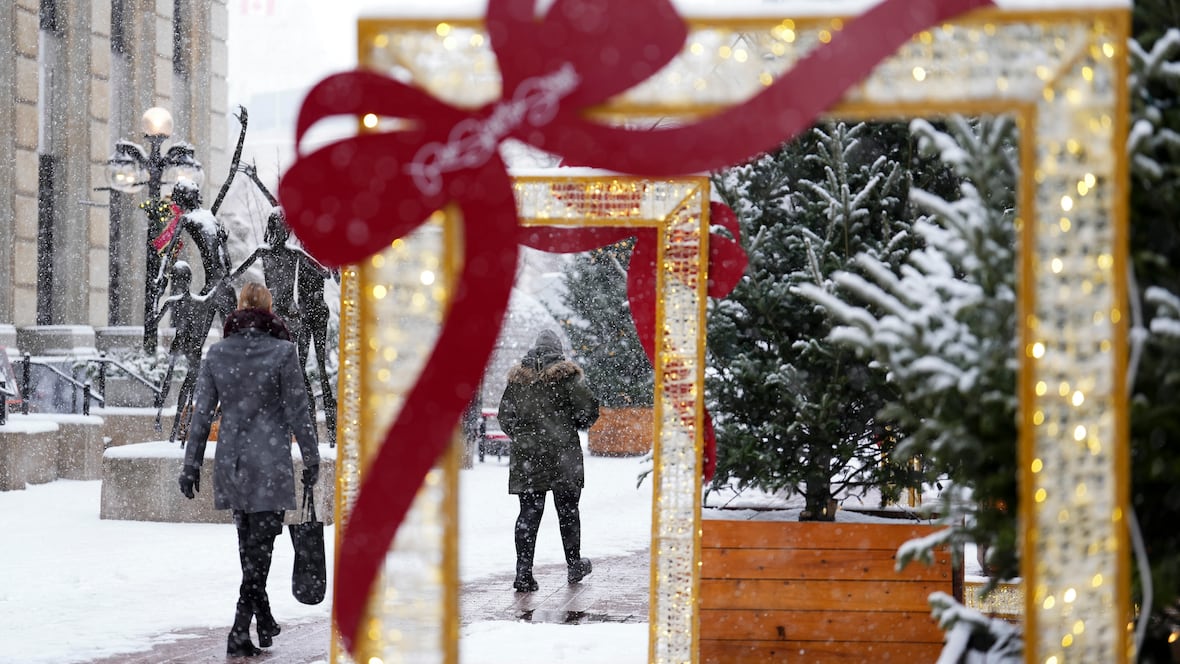 First significant snowfall in Ottawa sparks joy [Video]