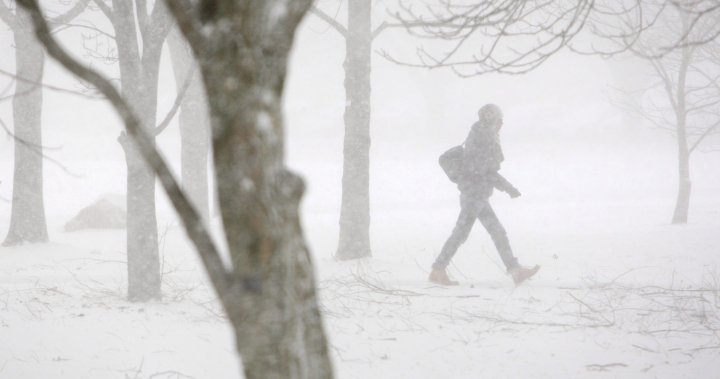 Near blizzard conditions: Ontario braces for more lake-effect snow squalls [Video]