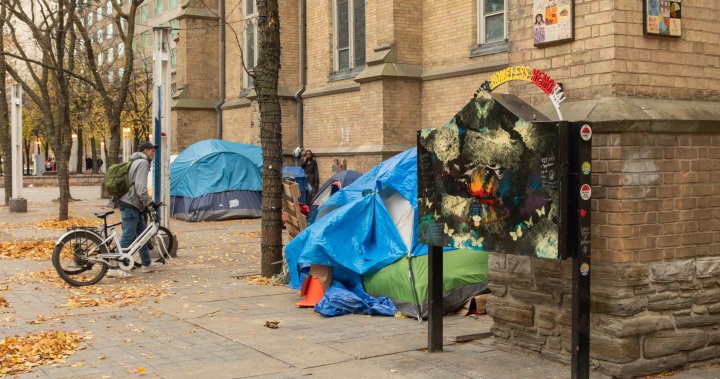 Ford government preparing law to dismantle homeless encampments [Video]