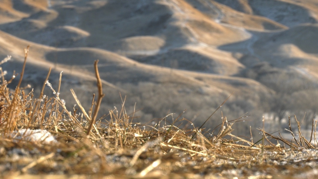 Improving, maintaining trails in Lethbridge’s river bottom focus of new partnership [Video]