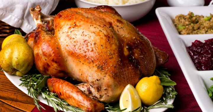 Ruffling feathers: Quebec seniors home scraps Christmas turkey dinner [Video]