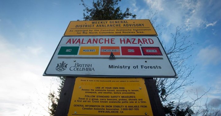 Avalanche danger forecast to spike in parts of B.C. this weekend [Video]