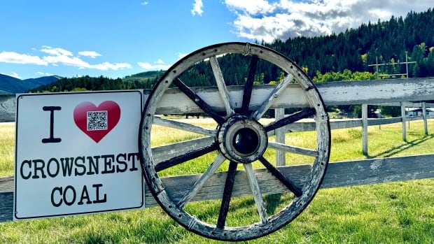 After ‘Yes’ vote on coal, Crowsnest Pass council now wants to annex land of proposed mine [Video]