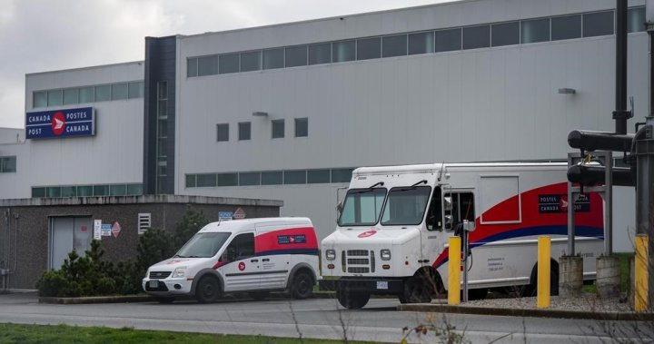 Alzheimer Society is calling for urgent supports for seniors affected by Canada Post strike [Video]