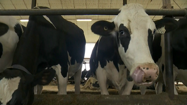 Dalhousie study applies AI to farming [Video]