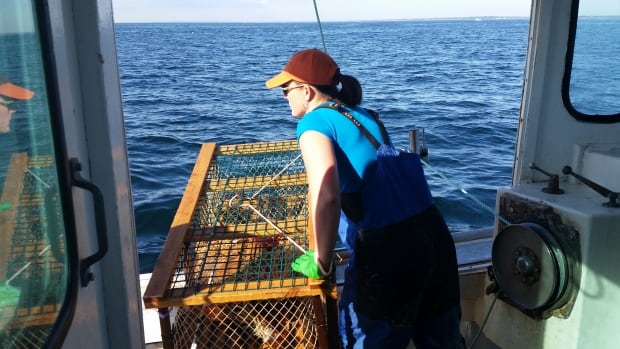 People who fish off P.E.I. have mixed reaction to new parental leave benefits [Video]