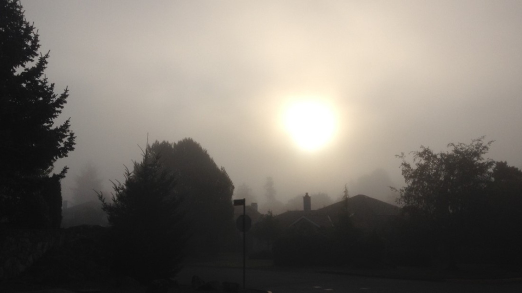 Fog weather warning for parts of central B.C. [Video]