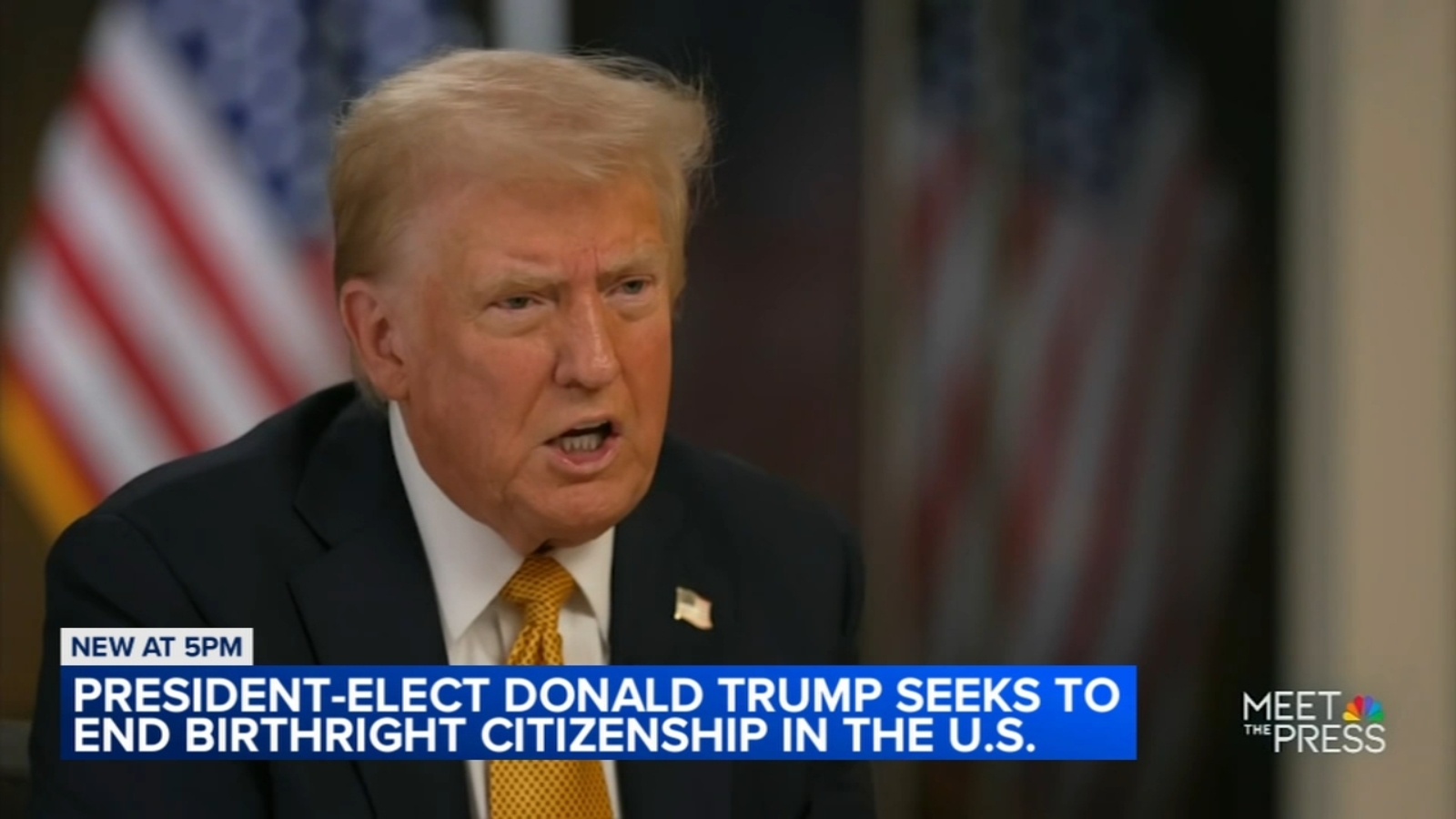 Can Trump end birthright citizenship in the US? Northwestern professor says not using executive order due to 14th Amendment [Video]