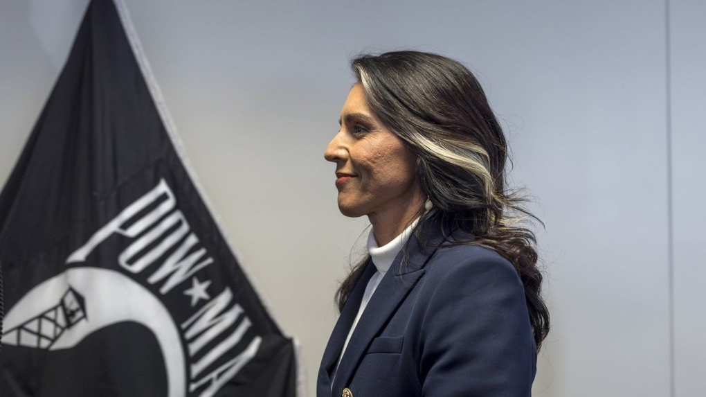 Tulsi Gabbard scrutinized over Syria connection [Video]