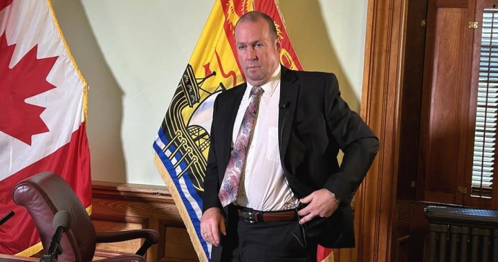 Auditor general flags problems with mental health care in New Brunswick – New Brunswick [Video]