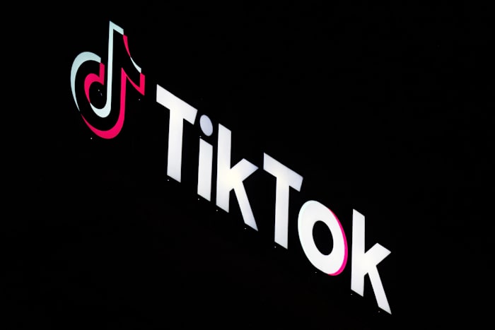 TikTok files challenge against Canadian government order to dissolve its business in the country [Video]