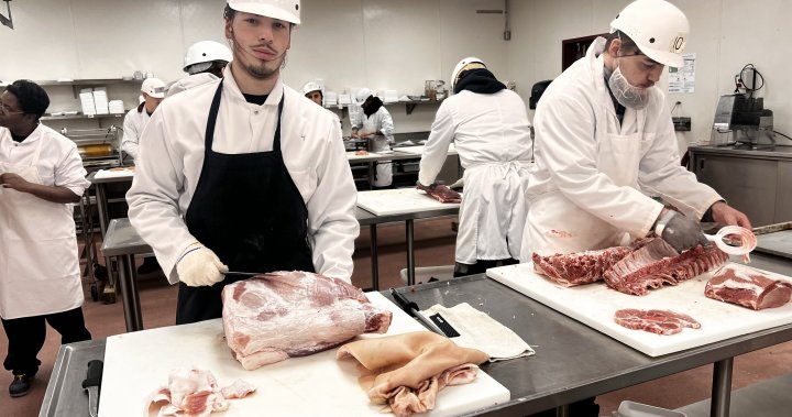 Wheres the beef? Butchers in big demand to fill labour shortage across Quebec – Montreal [Video]