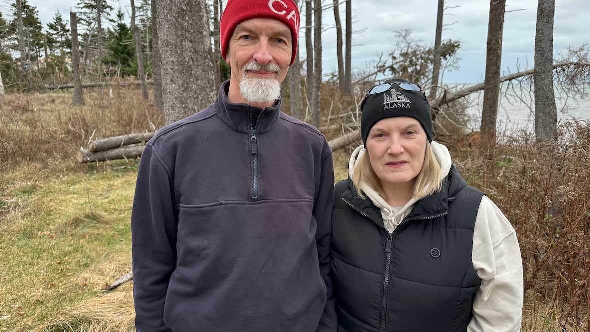 Psst... want a free tree? A P.E.I. watershed group is giving away 100,000 of them [Video]