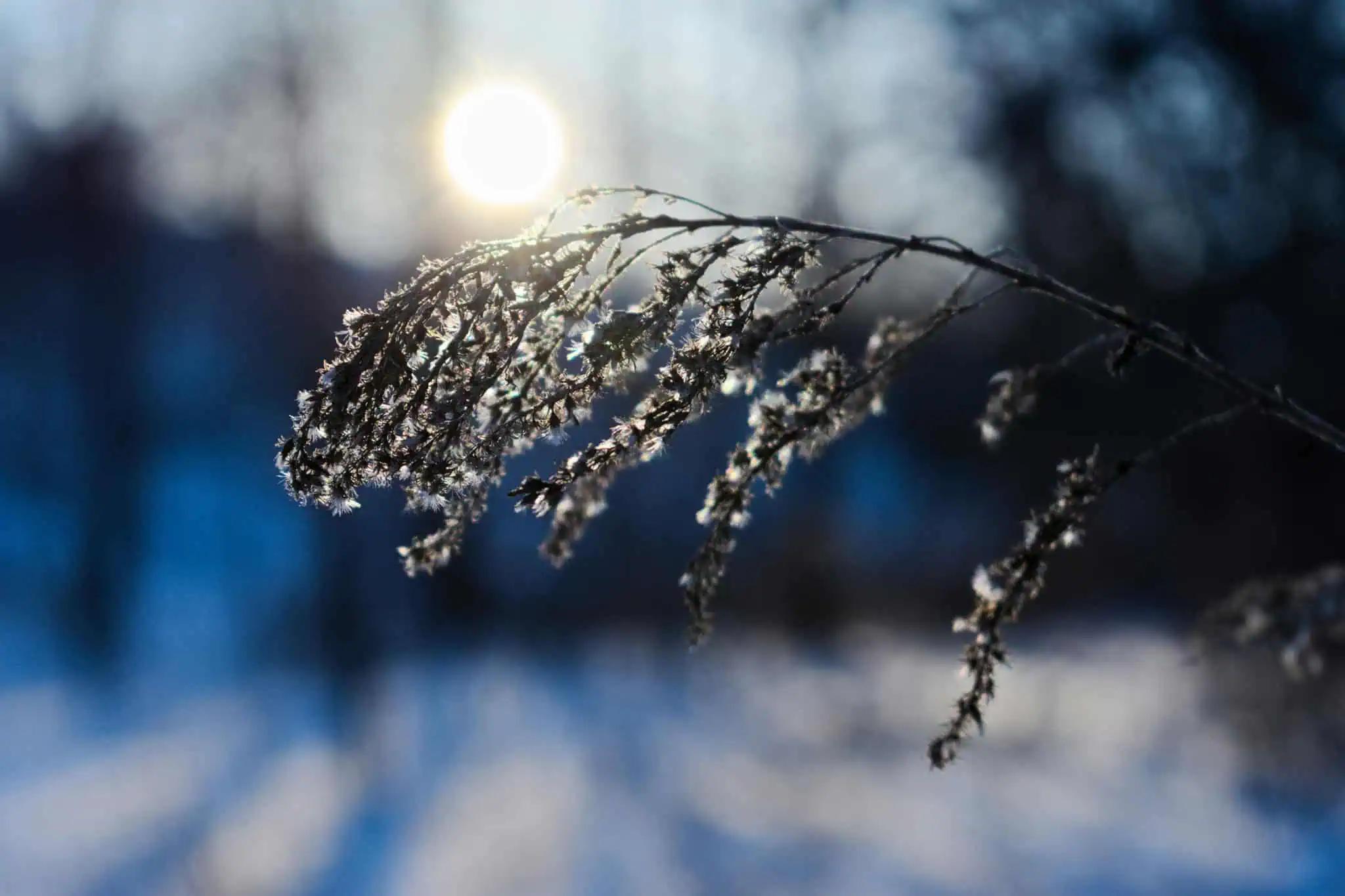 Warmer temperatures return this weekend in southern Ontario [Video]